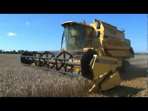 HARVESTING WHEAT -  from ' bee bright - OUT AND ABOUT ON THE FARM - INCREDIBLE CROPS!'