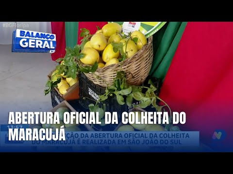 Abertura oficial da colheita do maracujá em São João do Sul