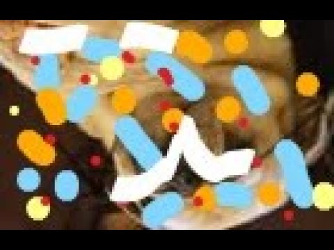 EMV 10 - Flockolonerd