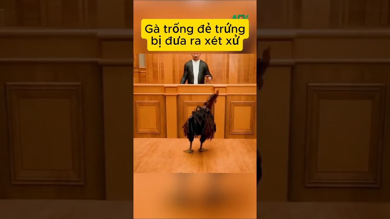 Gà trống đẻ trứng bị đưa ra xét xử