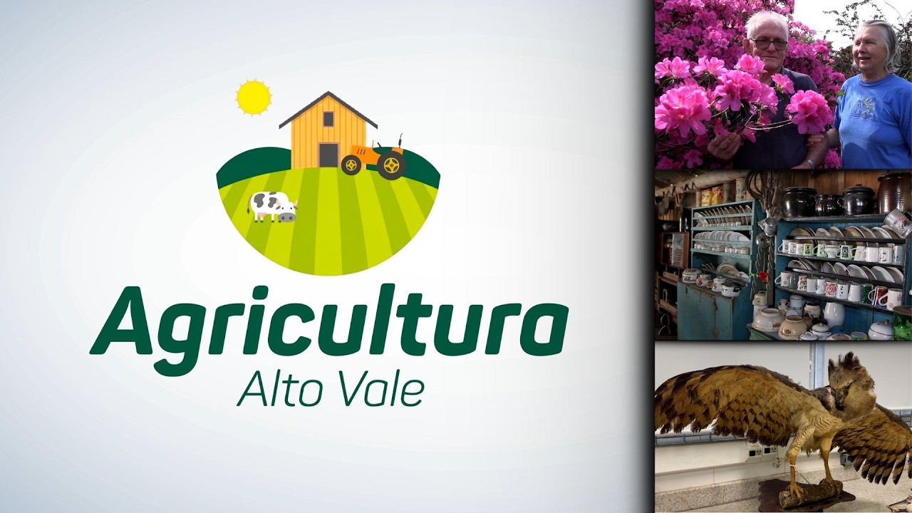 Agricultura Alto Vale – Ed. 29/08/2026
