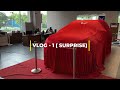 Surprise Vlog 1 Mj Unseen Beast In The House