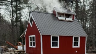 Maple Syrup : Joe Holland is live!