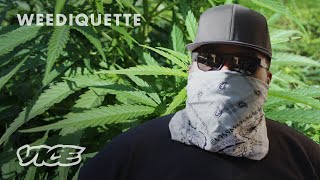 How I Smuggle Weed From California to New York | WEEDIQUETTE