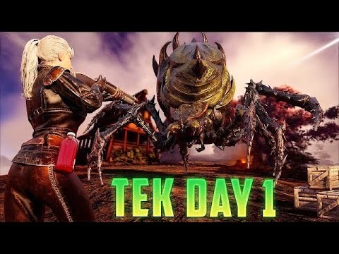 How A 100,000 Hour Tribe Plays wipe day - BAMS ARK