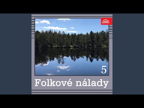 Do ptačích ploutví a rybích křídel