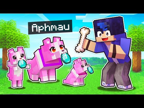 Aphmau - My SECRET Family Puppy PRANK In Minecraft!