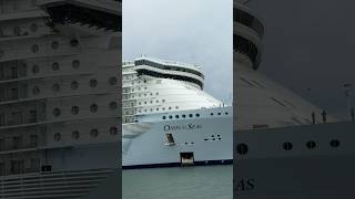 Oasis of the Seas in Port Canaveral! #shorts #oasisoftheseas #royalcaribbean #portcanaveral #cruise