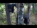 Тульский АТВ-клуб "Самогонщики" в Нижнем Новгороде. 2009. Часть 1