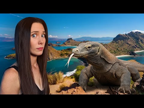 The Komodo Islands Trip of a Lifetime | 3 Days in Komodo National Park
