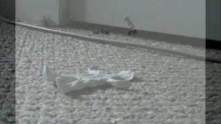 ASLEEP/AWAKE/PANIC/DIZZY/LOST Part II