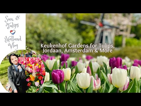 One Day @  Keukenhof Gardens for the best Tulips - Netherland | Spring Vlog