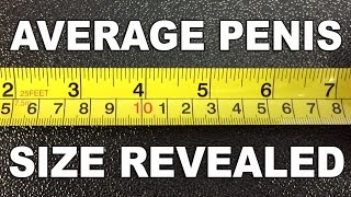 Average Penis Size Revealed - The Know