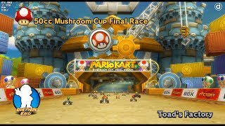 Mario Kart Wii (Nintendo Wii/Dolphin Emulator)