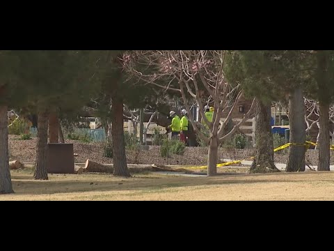 Craig Ranch Park in North Las Vegas remains closed after Saturday's wind, storm