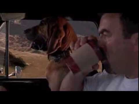 Jeff Beal - Paradise (Jesse's Theme Night passage)