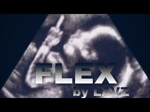 FLEX(Official Audio) - LAVZ | (Prod. by SpinalChord)