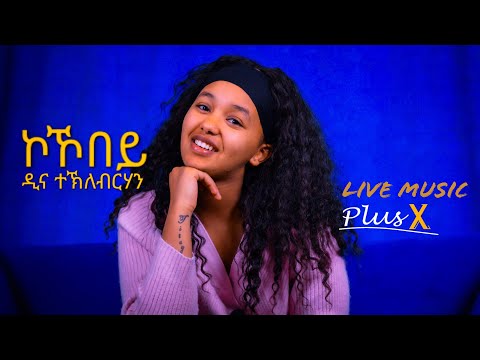 PlusX - Dina Tekleberhan - New Eritrean Acoustic Music 2025 - Kokobey ( ኮኾበይ )