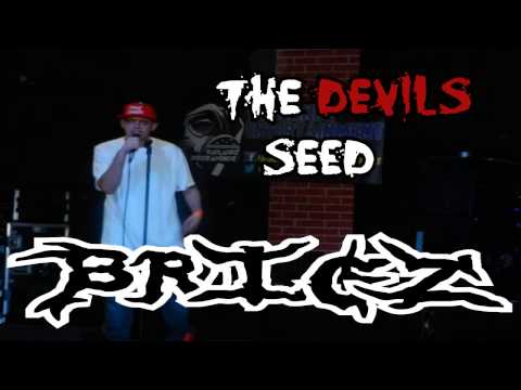 The Devil's Seed - BrigZ