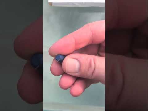 Top 5 Best 10mm Ammo For Self Defense And Hunting