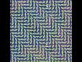 Animal Collective - Daily Routine