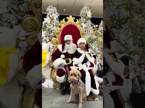 Promotional video thumbnail 1 for Mrs. Elizabeth Claus & All Things Christmas