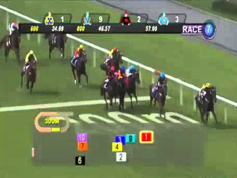 Kranji | 17/10 Fri ~ Race 7