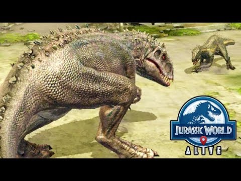 INDORAPTOR vs INDOMINUS REX (JURASSIC WORLD ALIVE)
