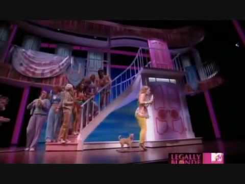Legally Blonde The Musical Omigod You Guys