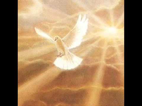Gloria - Martin Valverde