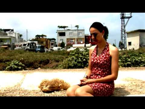 Deniz Deman  NABE- yeni klip