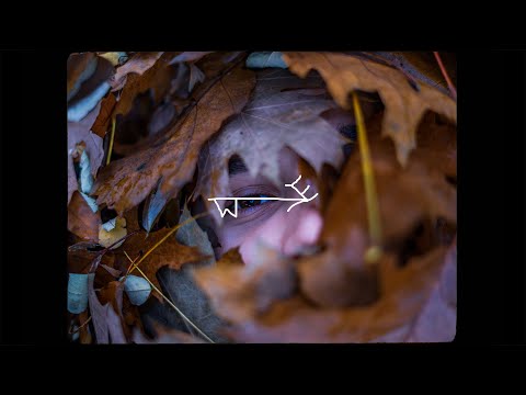 michal.ly & kzu - hej, poznajmy się