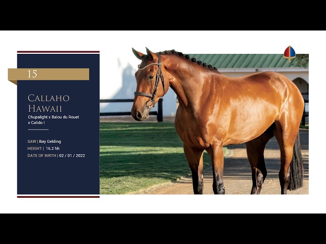 Callaho Hawaii