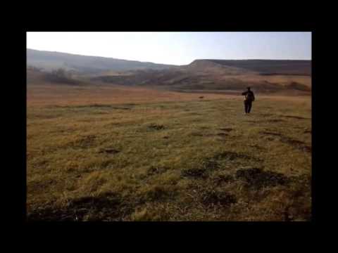 Pasune Bursucarie Vanatori -Iasi-toamna  anului  2014