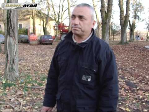 PARCUL DIN MANASTUR, Arad