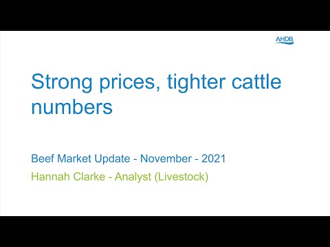 Strong prices, tighter cattle numbers - Beef Market...