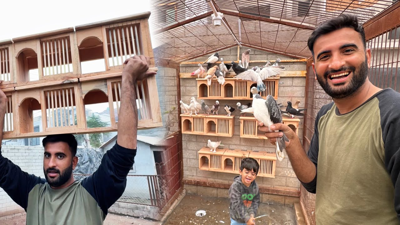 Finally Hmare Pigeons K Lye New Boxes Bn Gae Ab Ye in Main Ande Den Gy😍