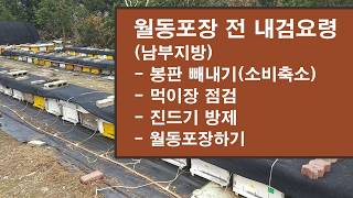 12월의 꿀벌관리, 월동포장 전 내검하기, 월동포장