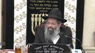 הרב שלמה כהן  •  הלכה (בית הכנסת מוסאיוף) - התמונה מוצגת ישירות מתוך אתר האינטרנט יוטיוב. זכויות היוצרים בתמונה שייכות ליוצרה. קישור קרדיט למקור התוכן נמצא בתוך דף הסרטון