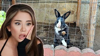 Breaking this bunny out of a hutch outside! | House Rabbit Makeover | Episode 9