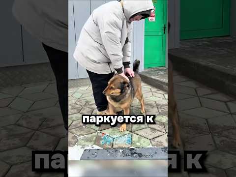 Что нового у Жужи?