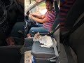 Mini Cow In My Car Dream Pets Yt Cow Cute Car Ride Travel Youtube Mini