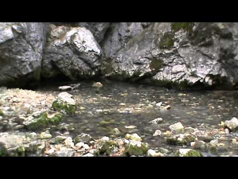 De la Anina la Bozovici