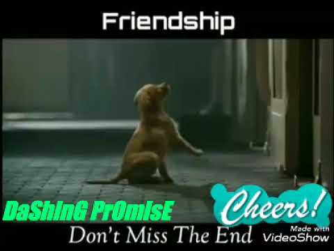 download lagu mp3 mp4 Tere Jaisa Yaar Kahan Mp3 Ringtone Download 320kbps, download lagu Tere Jaisa Yaar Kahan Mp3 Ringtone Download 320kbps gratis, unduh video klip Tere Jaisa Yaar Kahan Mp3 Ringtone Download 320kbps