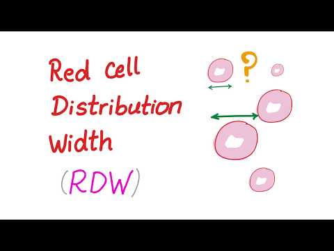 Red Cell Distribution Width (RDW) - What Does This Lab Test REALLY Mean?