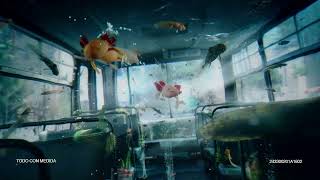 Victoria México La cerveza mexa