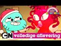 Gumball | Transformatie (volledige aflevering in het Nederlands) | Cartoon Network