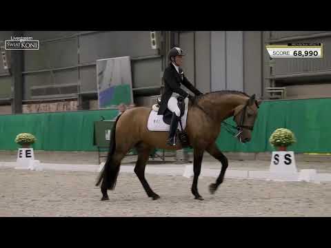 GUAPO   Katarzyna Milczarek   CDI Wrocław – 25 10 2024