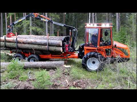 download lagu mp3 mp4 Woodtiger, download lagu Woodtiger gratis, unduh video klip Woodtiger