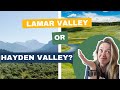LAMAR VALLEY or HAYDEN VALLEY: Which One is BEST?
